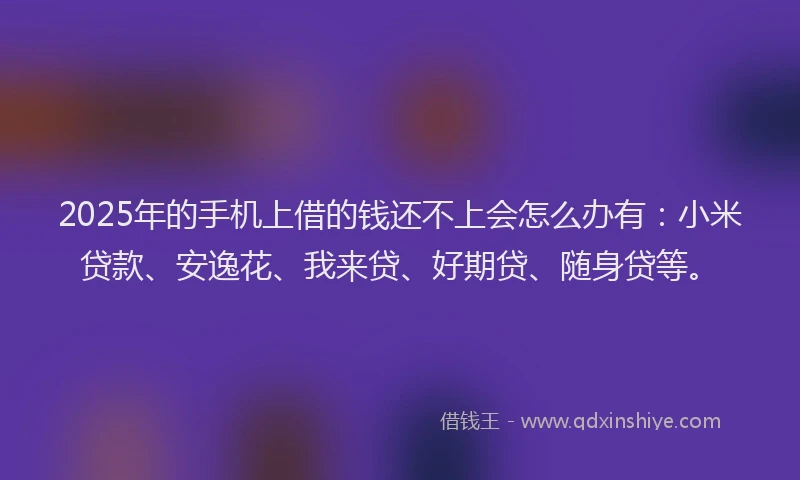 2025年的手机上借的钱还不上会怎么办有：小米贷款、安逸花、我来贷、好期贷、随身贷等。