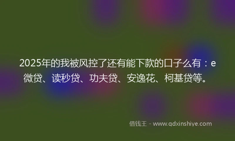 2025年的我被风控了还有能下款的口子么有：e微贷、读秒贷、功夫贷、安逸花、柯基贷等。