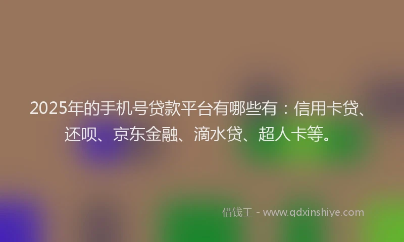 2025年的手机号贷款平台有哪些有：信用卡贷、还呗、京东金融、滴水贷、超人卡等。