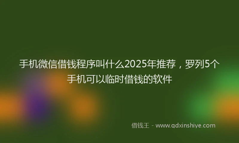 手机微信借钱程序叫什么2025年推荐，罗列5个手机可以临时借钱的软件