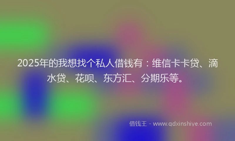 2025年的我想找个私人借钱有：维信卡卡贷、滴水贷、花呗、东方汇、分期乐等。