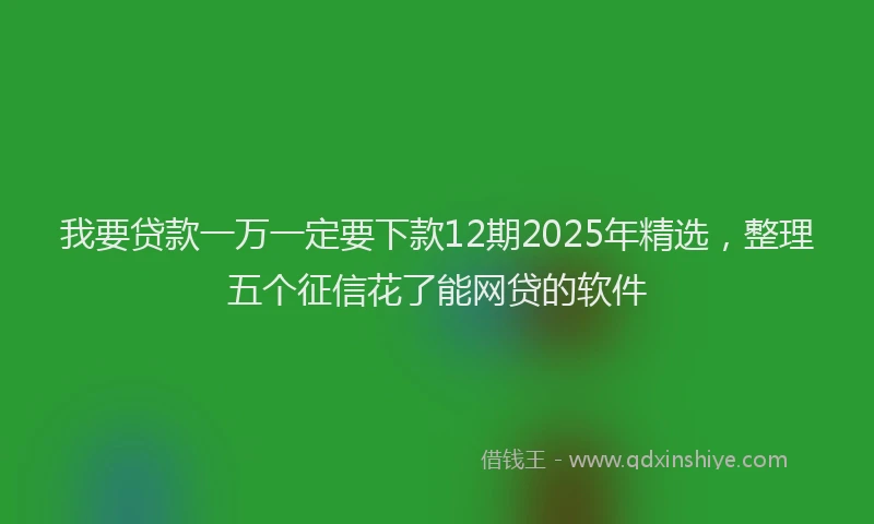 我要贷款一万一定要下款12期2025年精选，整理五个征信花了能网贷的软件