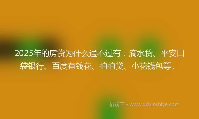 2025年的房贷为什么通不过有：滴水贷、平安口袋银行、百度有钱花、拍拍贷、小花钱包等。