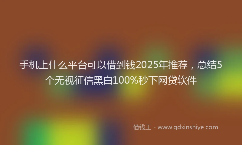 手机上什么平台可以借到钱2025年推荐，总结5个无视征信黑白100%秒下网贷软件
