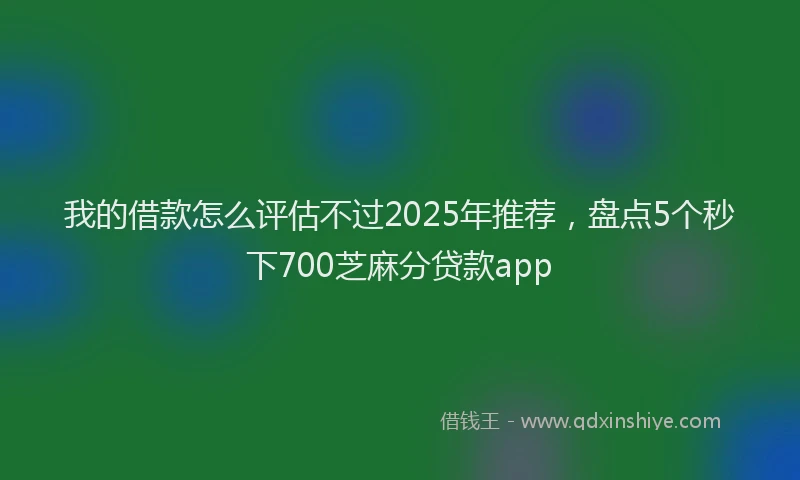 我的借款怎么评估不过2025年推荐，盘点5个秒下700芝麻分贷款app