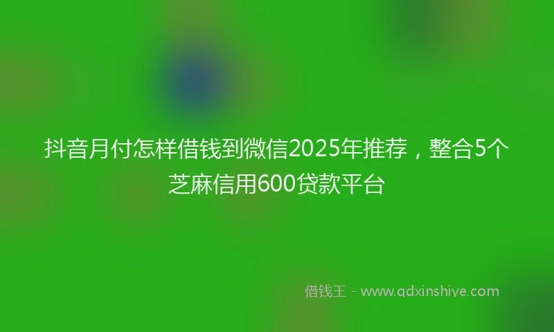 抖音月付怎样借钱到微信2025年推荐，整合5个芝麻信用600贷款平台