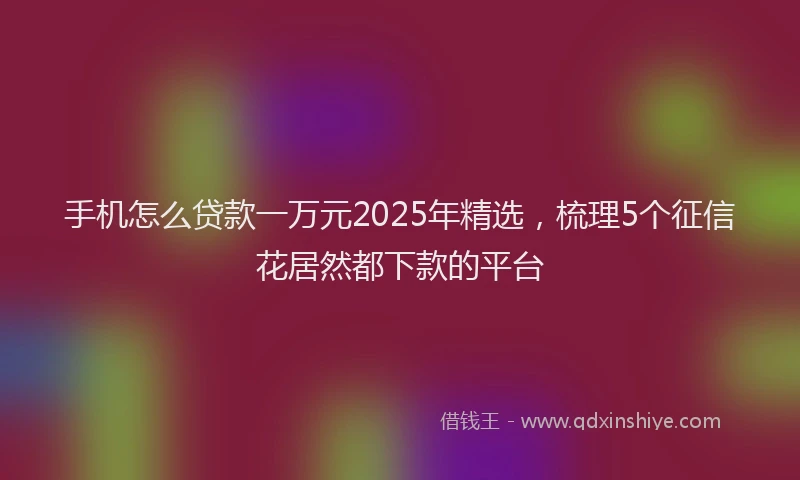 手机怎么贷款一万元2025年精选，梳理5个征信花居然都下款的平台
