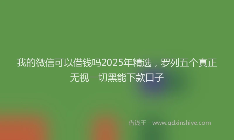 我的微信可以借钱吗2025年精选，罗列五个真正无视一切黑能下款口子