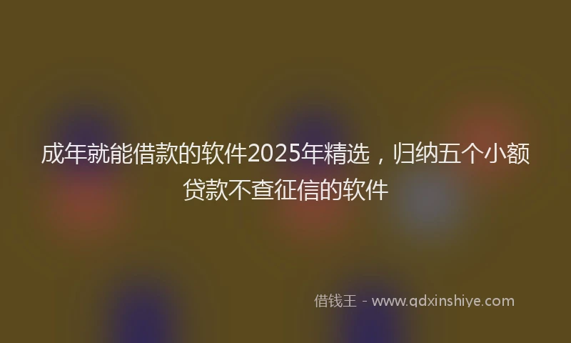 成年就能借款的软件2025年精选，归纳五个小额贷款不查征信的软件