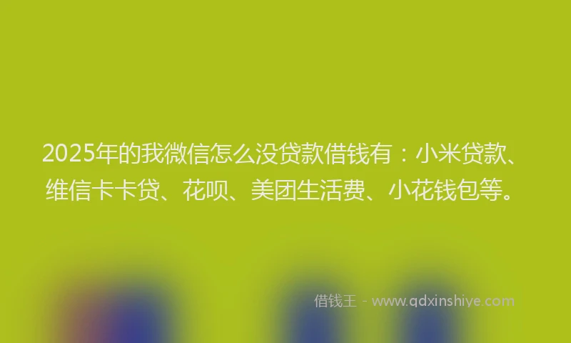 2025年的我微信怎么没贷款借钱有：小米贷款、维信卡卡贷、花呗、美团生活费、小花钱包等。