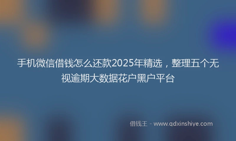 手机微信借钱怎么还款2025年精选，整理五个无视逾期大数据花户黑户平台
