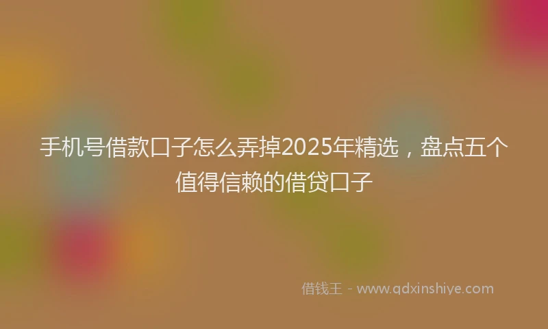 手机号借款口子怎么弄掉2025年精选，盘点五个值得信赖的借贷口子