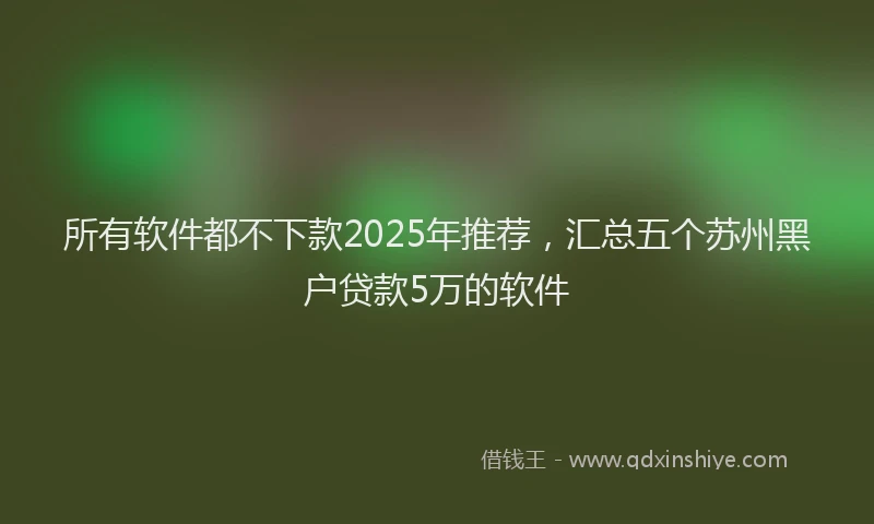 所有软件都不下款2025年推荐，汇总五个苏州黑户贷款5万的软件