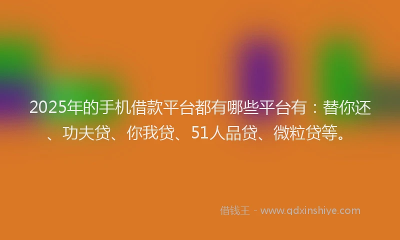 2025年的手机借款平台都有哪些平台有：替你还、功夫贷、你我贷、51人品贷、微粒贷等。