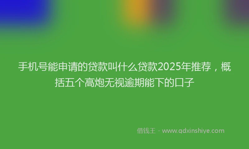 手机号能申请的贷款叫什么贷款2025年推荐，概括五个高炮无视逾期能下的口子
