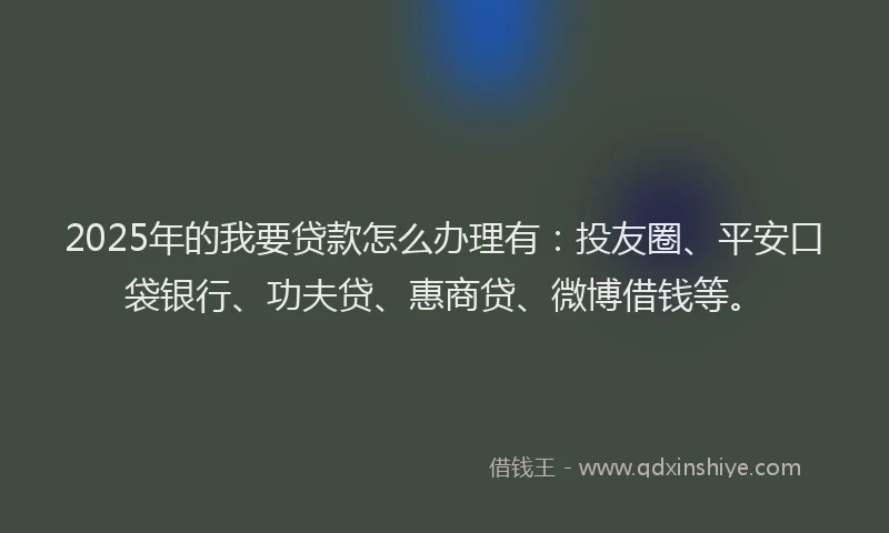 2025年的我要贷款怎么办理有：投友圈、平安口袋银行、功夫贷、惠商贷、微博借钱等。