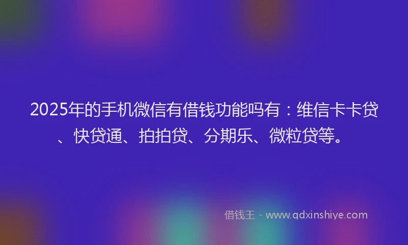 2025年的手机微信有借钱功能吗有：维信卡卡贷、快贷通、拍拍贷、分期乐、微粒贷等。