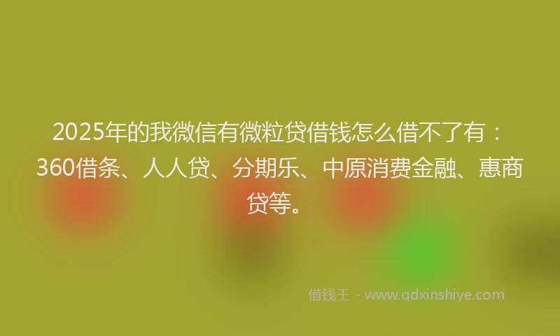 2025年的我微信有微粒贷借钱怎么借不了有：360借条、人人贷、分期乐、中原消费金融、惠商贷等。