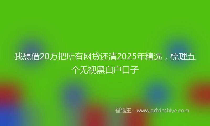 我想借20万把所有网贷还清2025年精选，梳理五个无视黑白户口子