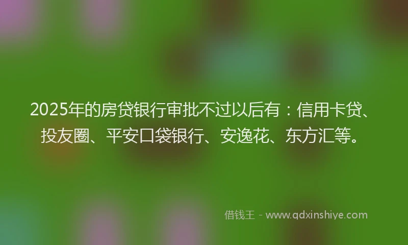 2025年的房贷银行审批不过以后有：信用卡贷、投友圈、平安口袋银行、安逸花、东方汇等。