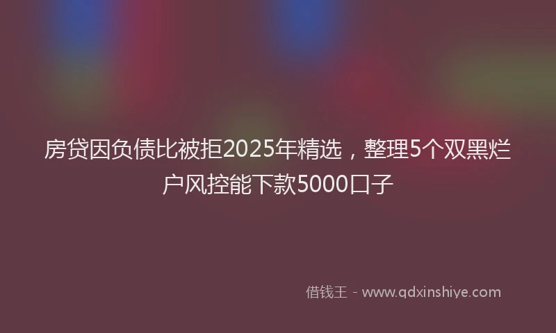 房贷因负债比被拒2025年精选，整理5个双黑烂户风控能下款5000口子