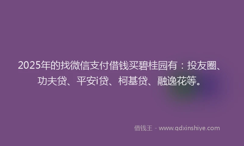2025年的找微信支付借钱买碧桂园有：投友圈、功夫贷、平安i贷、柯基贷、融逸花等。