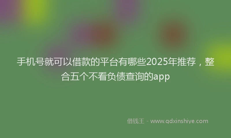 手机号就可以借款的平台有哪些2025年推荐，整合五个不看负债查询的app
