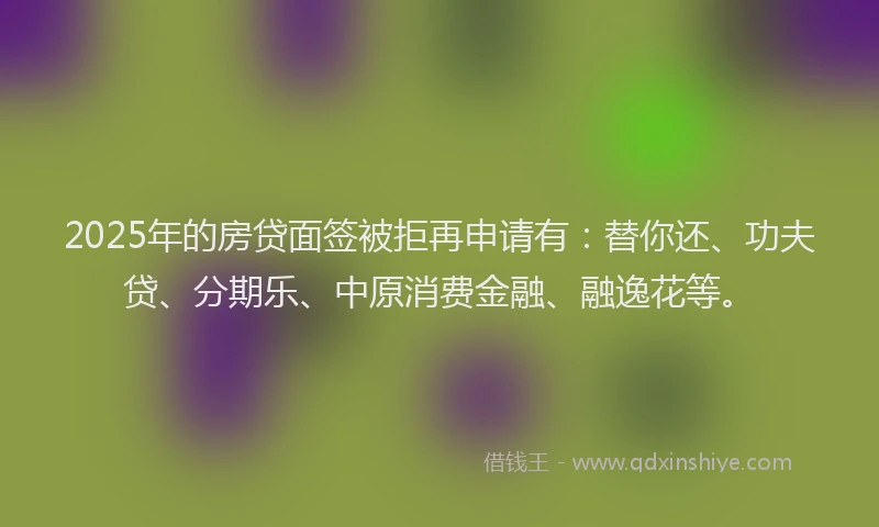 2025年的房贷面签被拒再申请有：替你还、功夫贷、分期乐、中原消费金融、融逸花等。