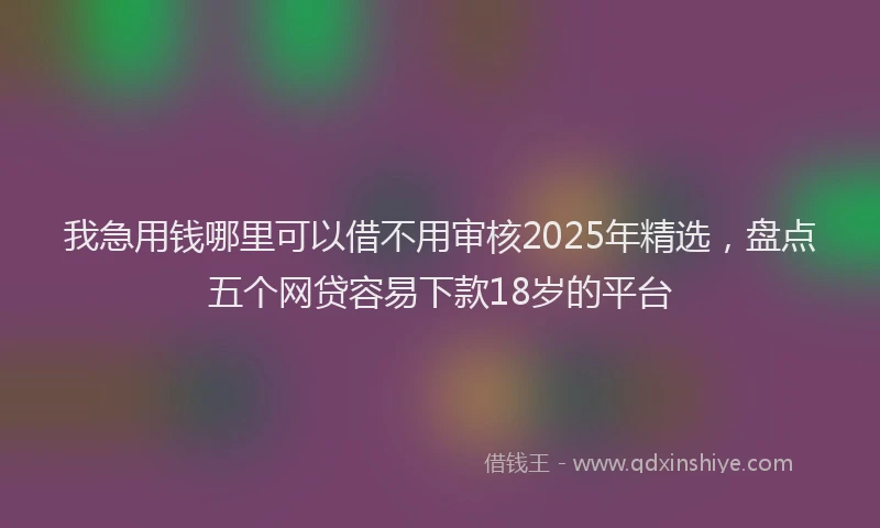 我急用钱哪里可以借不用审核2025年精选，盘点五个网贷容易下款18岁的平台