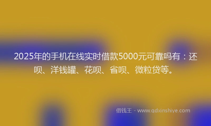 2025年的手机在线实时借款5000元可靠吗有:还呗、洋钱罐、花呗、省呗、微粒贷等。