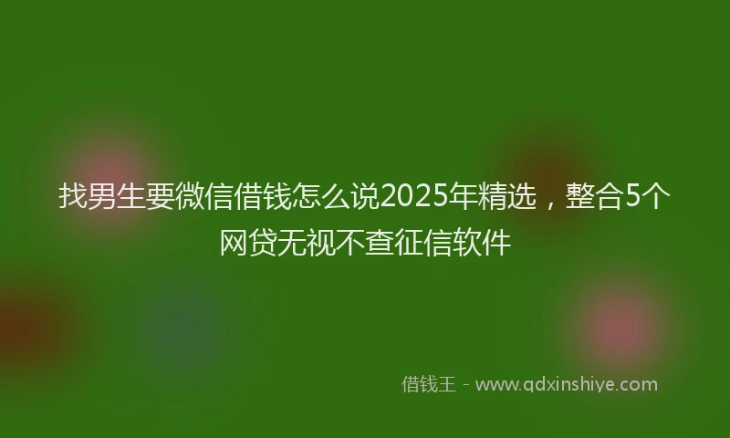 找男生要微信借钱怎么说2025年精选，整合5个网贷无视不查征信软件