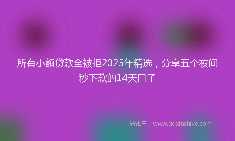 所有小额贷款全被拒2025年精选，分享五个夜间秒下款的14天口子