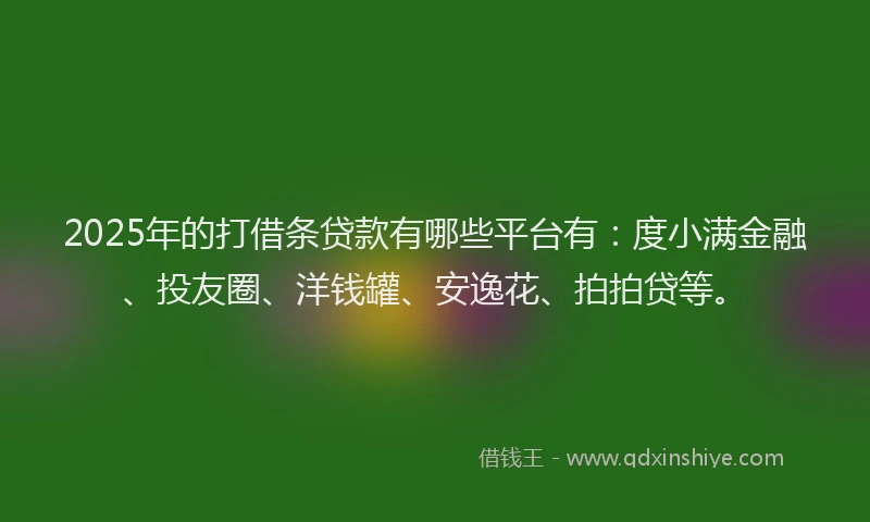 2025年的打借条贷款有哪些平台有：度小满金融、投友圈、洋钱罐、安逸花、拍拍贷等。