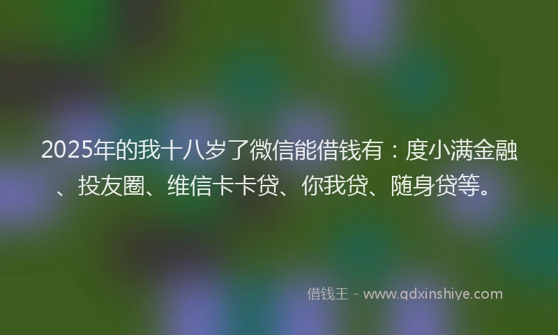 2025年的我十八岁了微信能借钱有:度小满金融、投友圈、维信卡卡贷、你我贷、随身贷等。