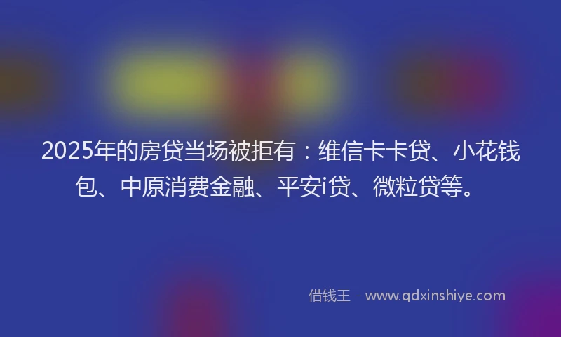 2025年的房贷当场被拒有：维信卡卡贷、小花钱包、中原消费金融、平安i贷、微粒贷等。