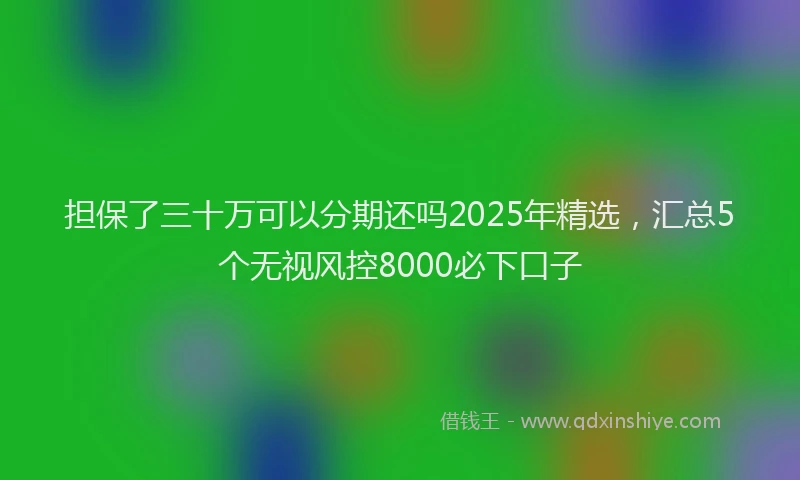 担保了三十万可以分期还吗2025年精选，汇总5个无视风控8000必下口子