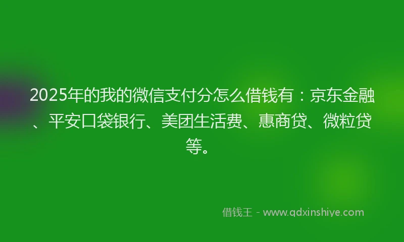 2025年的我的微信支付分怎么借钱有：京东金融、平安口袋银行、美团生活费、惠商贷、微粒贷等。