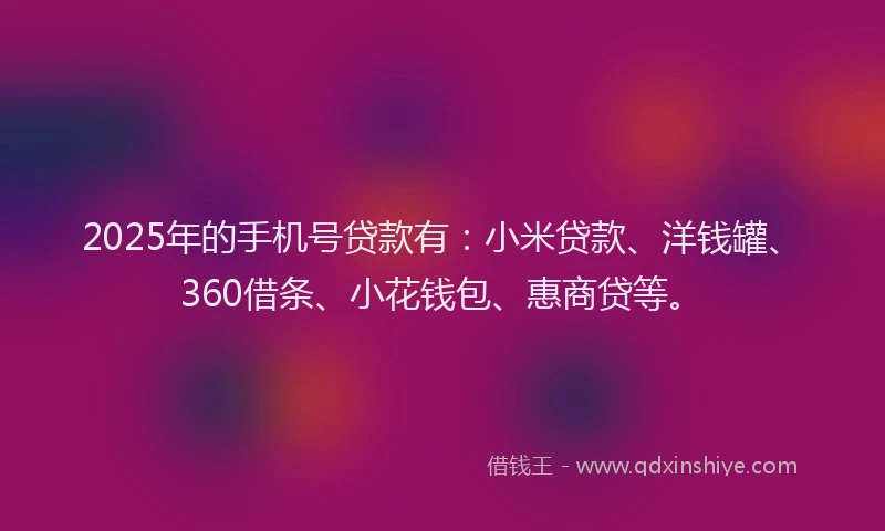 2025年的手机号贷款有：小米贷款、洋钱罐、360借条、小花钱包、惠商贷等。