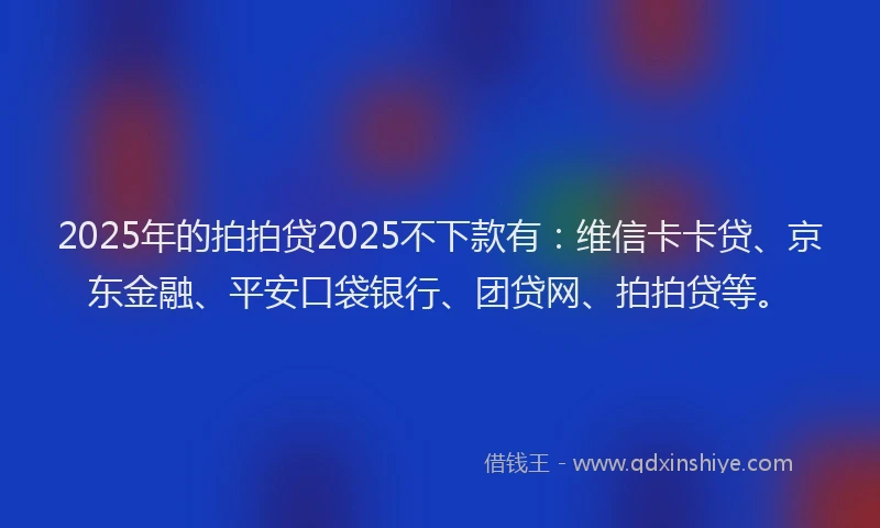 2025年的拍拍贷2025不下款有：维信卡卡贷、京东金融、平安口袋银行、团贷网、拍拍贷等。