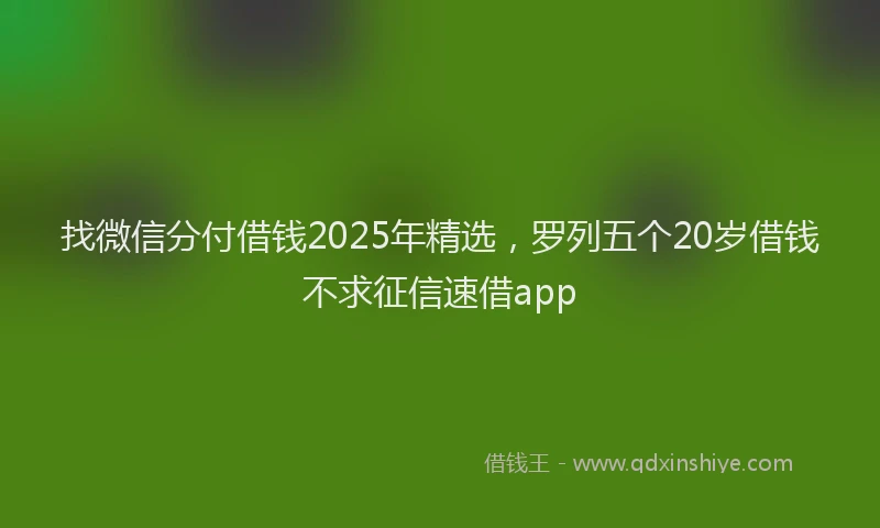 找微信分付借钱2025年精选，罗列五个20岁借钱不求征信速借app