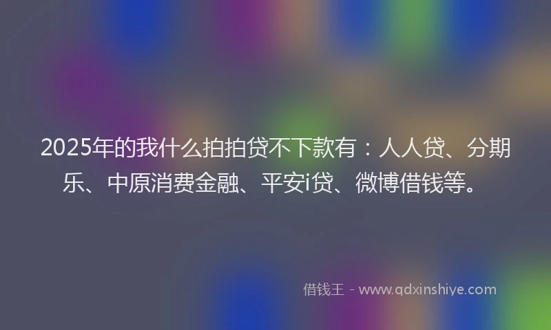 2025年的我什么拍拍贷不下款有：人人贷、分期乐、中原消费金融、平安i贷、微博借钱等。