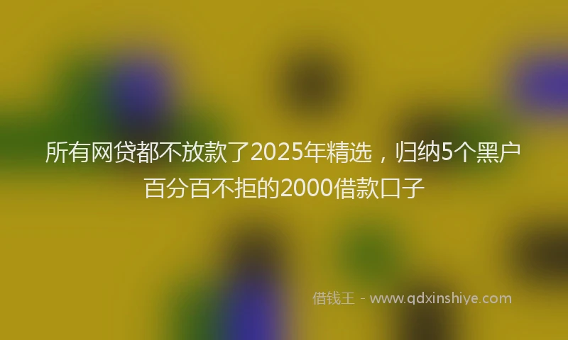 所有网贷都不放款了2025年精选，归纳5个黑户百分百不拒的2000借款口子