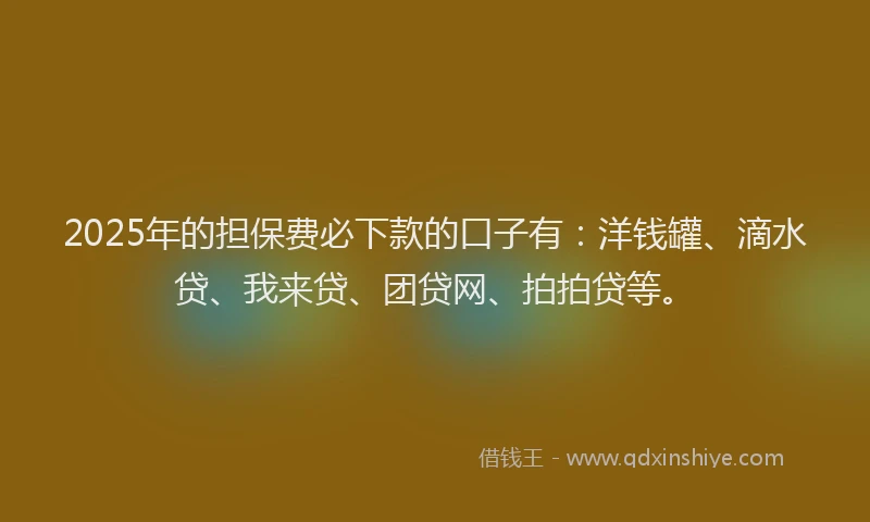 2025年的担保费必下款的口子有：洋钱罐、滴水贷、我来贷、团贷网、拍拍贷等。