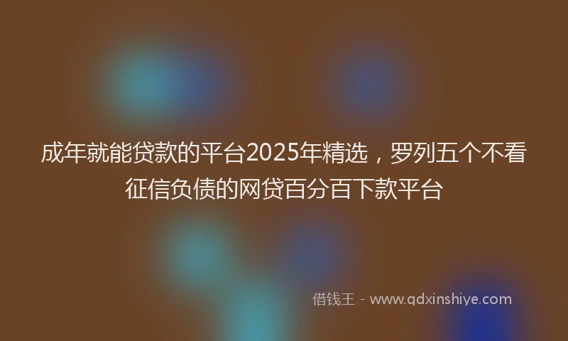 成年就能贷款的平台2025年精选，罗列五个不看征信负债的网贷百分百下款平台