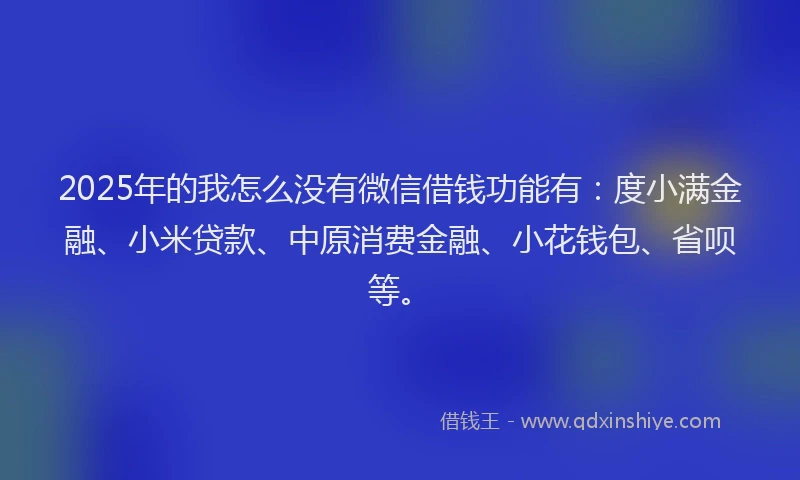 2025年的我怎么没有微信借钱功能有：度小满金融、小米贷款、中原消费金融、小花钱包、省呗等。