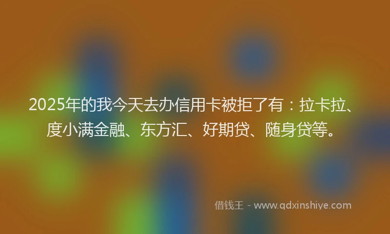 2025年的我今天去办信用卡被拒了有：拉卡拉、度小满金融、东方汇、好期贷、随身贷等。