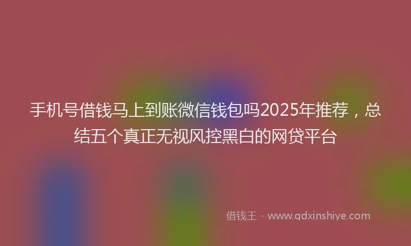 手机号借钱马上到账微信钱包吗2025年推荐，总结五个真正无视风控黑白的网贷平台