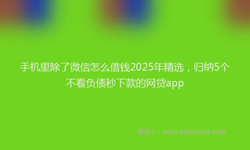 手机里除了微信怎么借钱2025年精选，归纳5个不看负债秒下款的网贷app