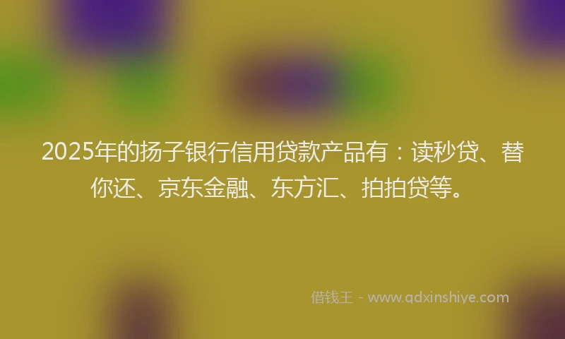 2025年的扬子银行信用贷款产品有：读秒贷、替你还、京东金融、东方汇、拍拍贷等。