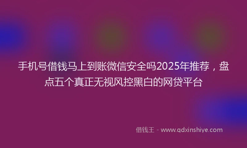 手机号借钱马上到账微信安全吗2025年推荐，盘点五个真正无视风控黑白的网贷平台